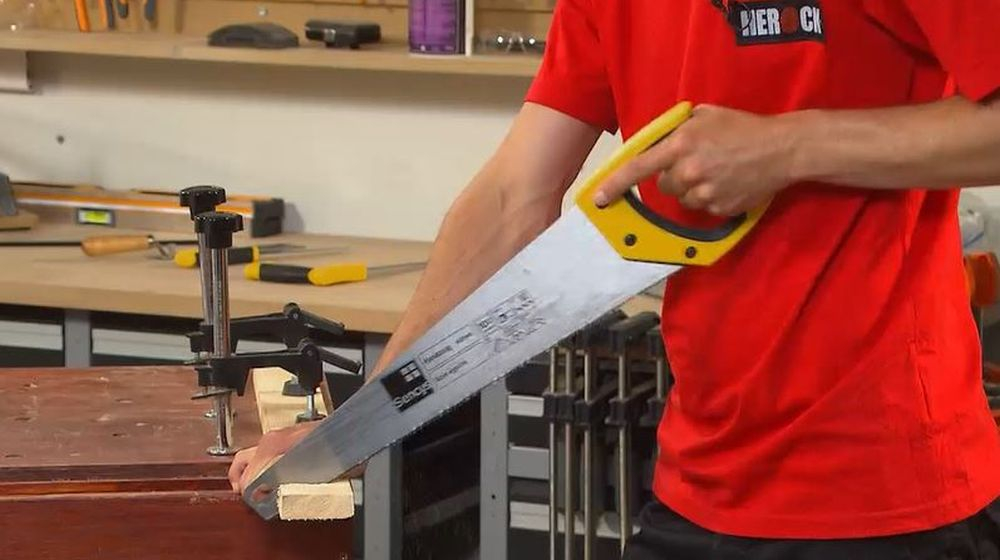 ALLES OVER ZAGEN Professional