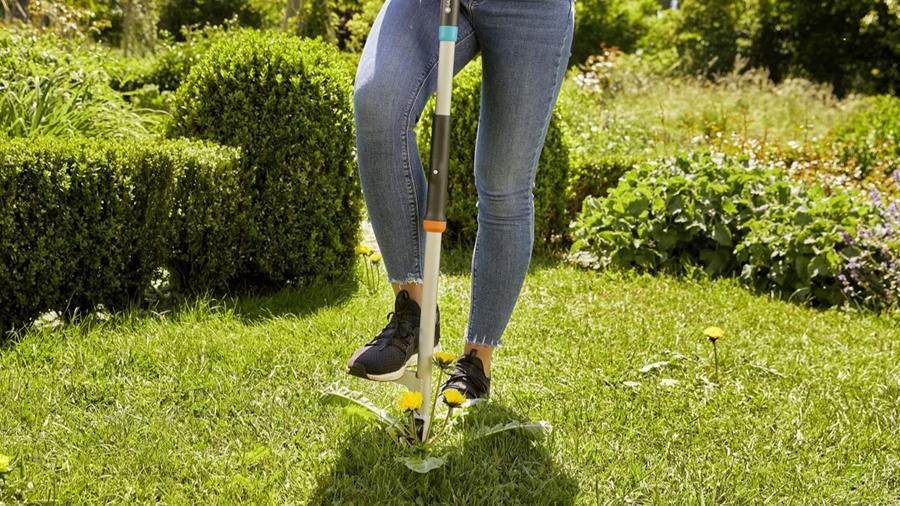 VOTRE JARDIN EST-IL PRÊT POUR L'ÉTÉ?