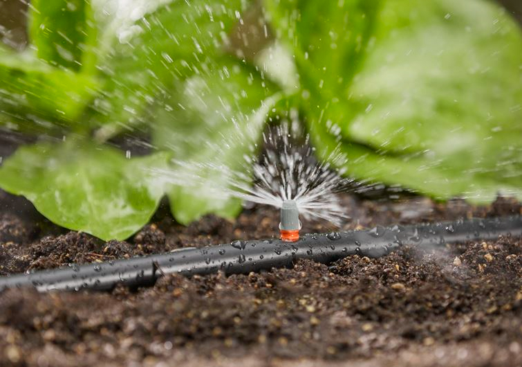 GAGNER DU TEMPS AVEC LE JARDINAGE AUTOMATIQUE