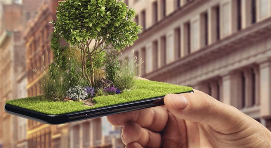 COMMENT ENTRETENIR INTELLIGEMMENT ET SANS SOUCIS UN PETIT JARDIN?