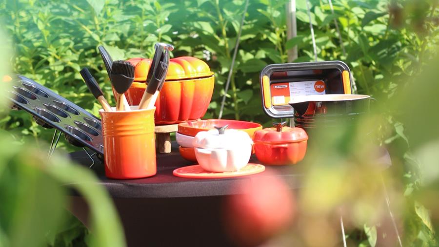 Op zoek naar 3 nieuwe Le Creuset collecties in de Plantentuin van Meise