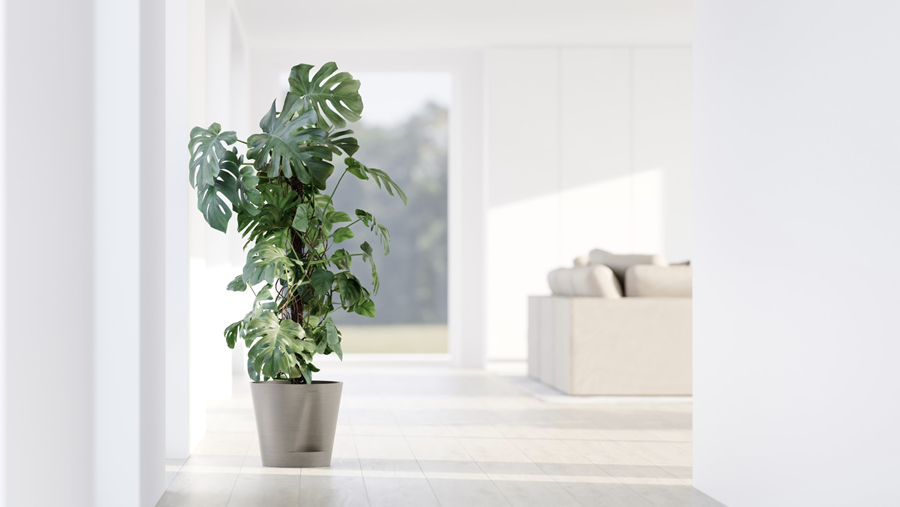 Ecopots verkozen tot beste DIY-product in Duitsland