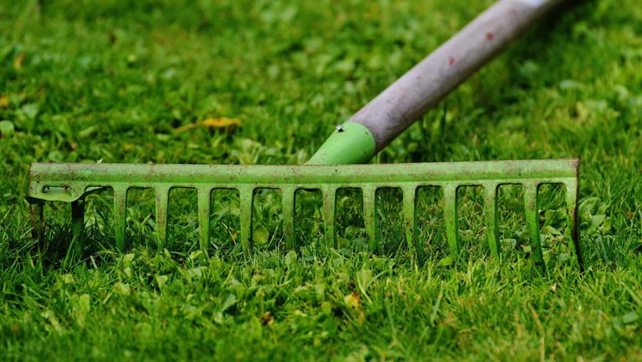 Steelgereedschappen in de tuin