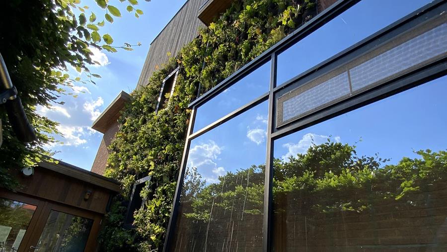 Les façades vertes et les jardins verticaux en pleine explosion