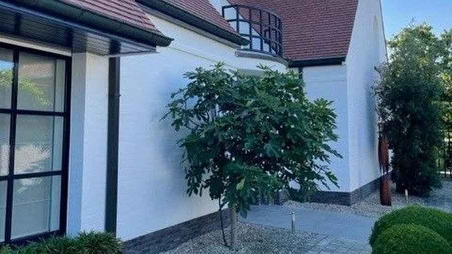 Veel groen en witte gevel gaan hand in hand