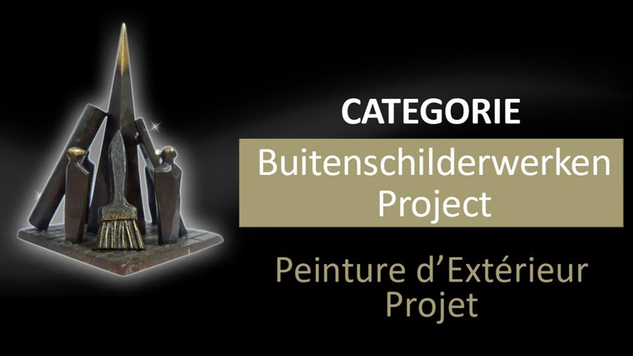 Dit zijn de genomineerden voor de Decoratie Awards: Buitenschilderwerken Project