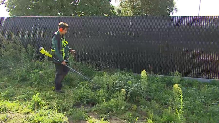 Hoe ga je om met onkruid in je tuin?