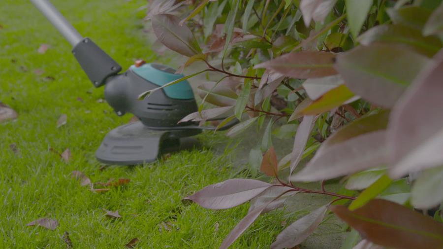 Comment choisir un coupe-herbe?