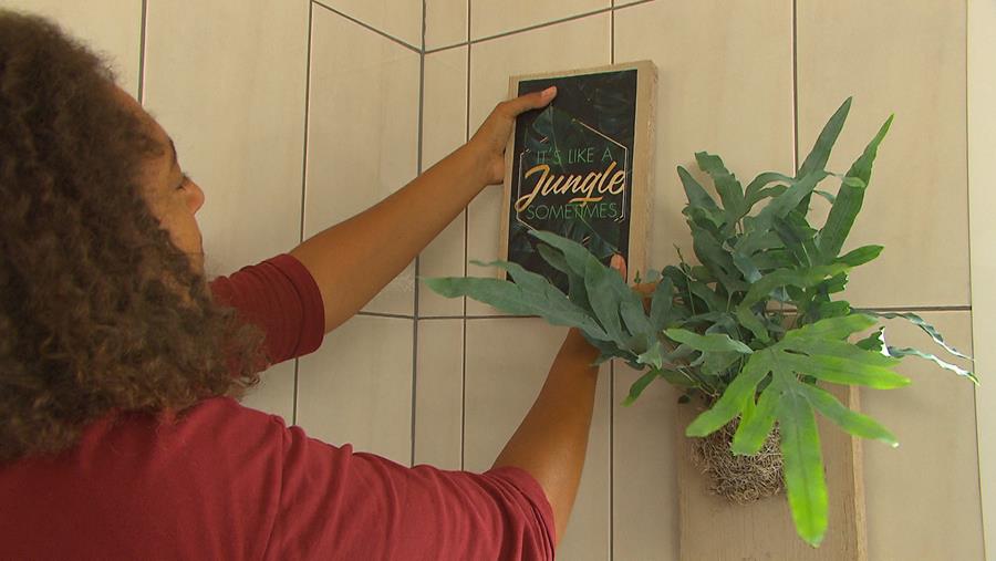 Kies de ideale plaats voor je kamerplant