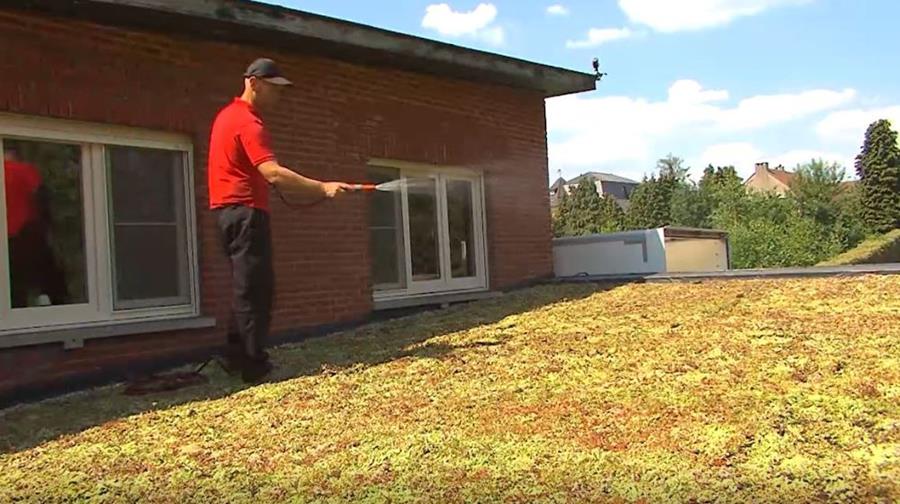 Waarom een groendak kiezen?