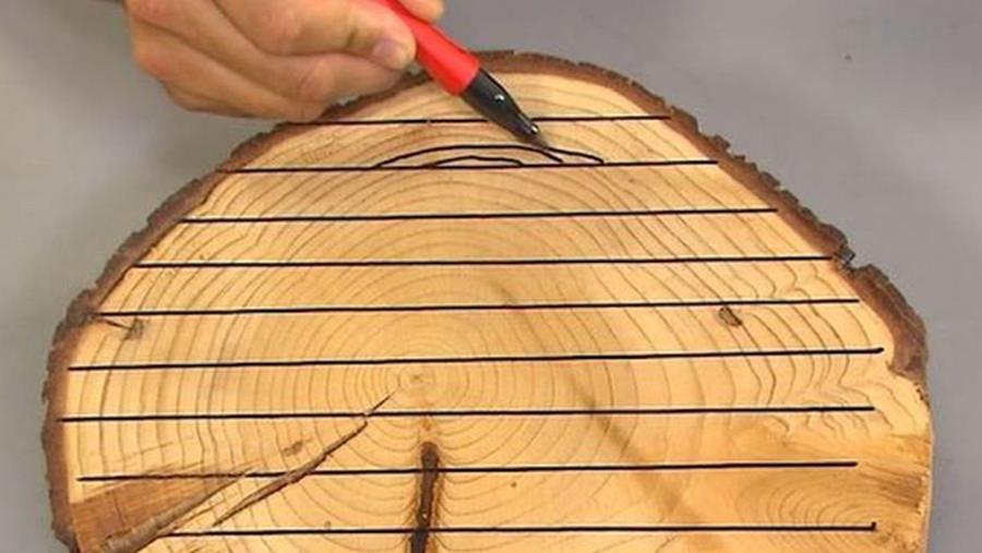 Hout: algemene eigenschappen